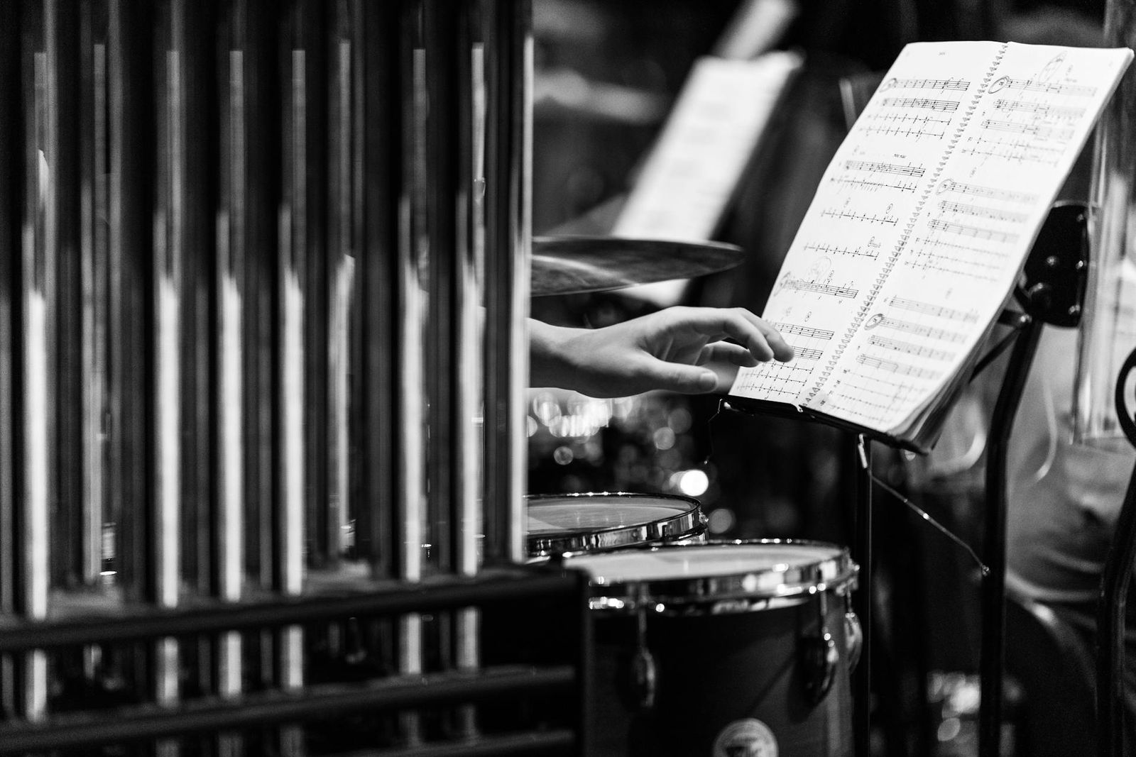 person reading sheet music