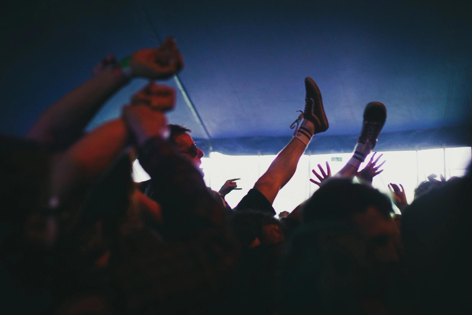 fans in a concert