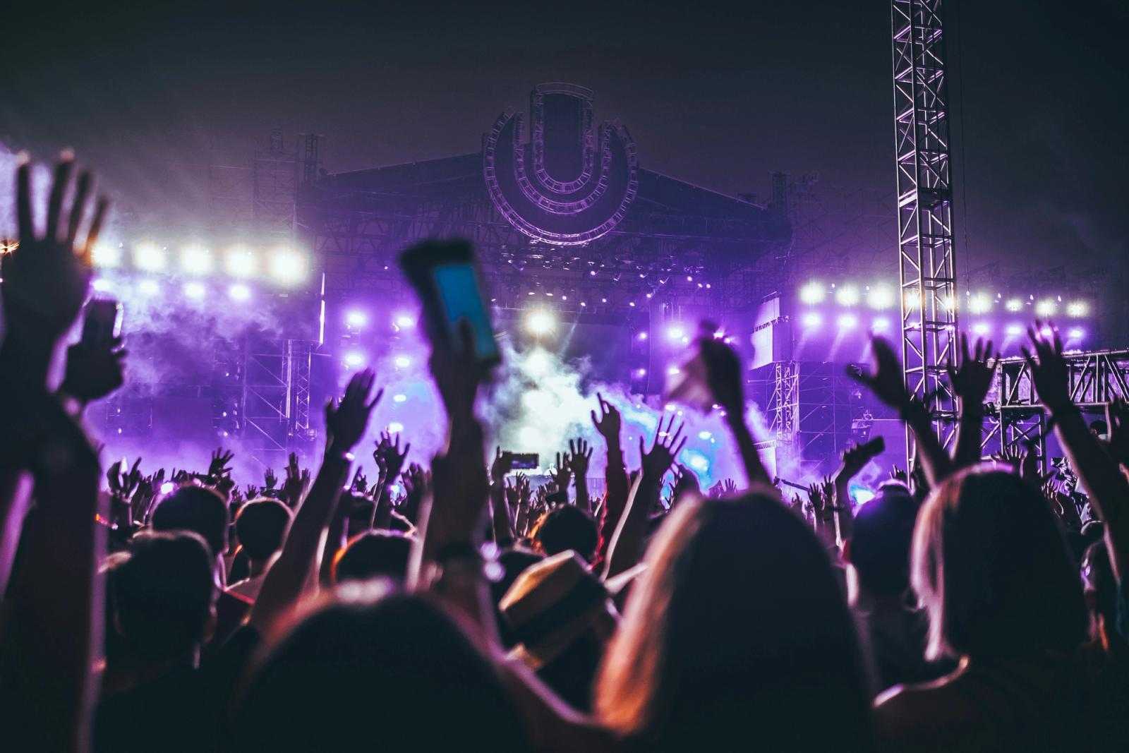 fans in a concert