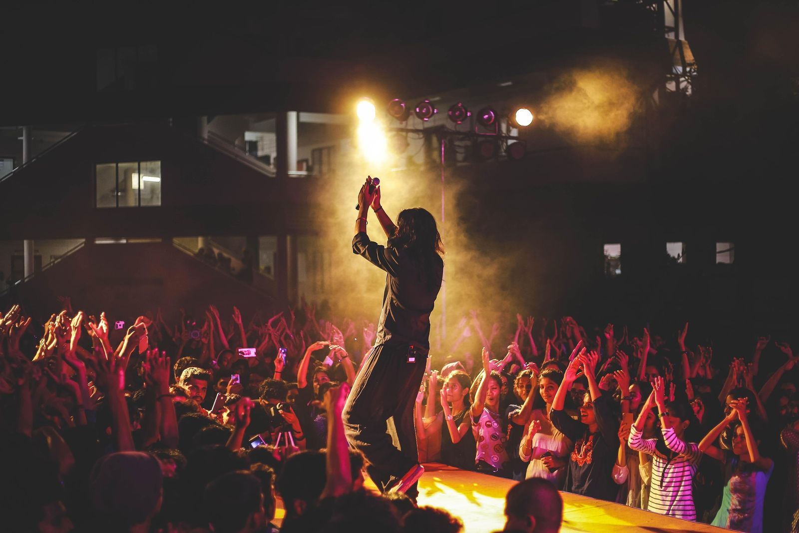 fans in a concert