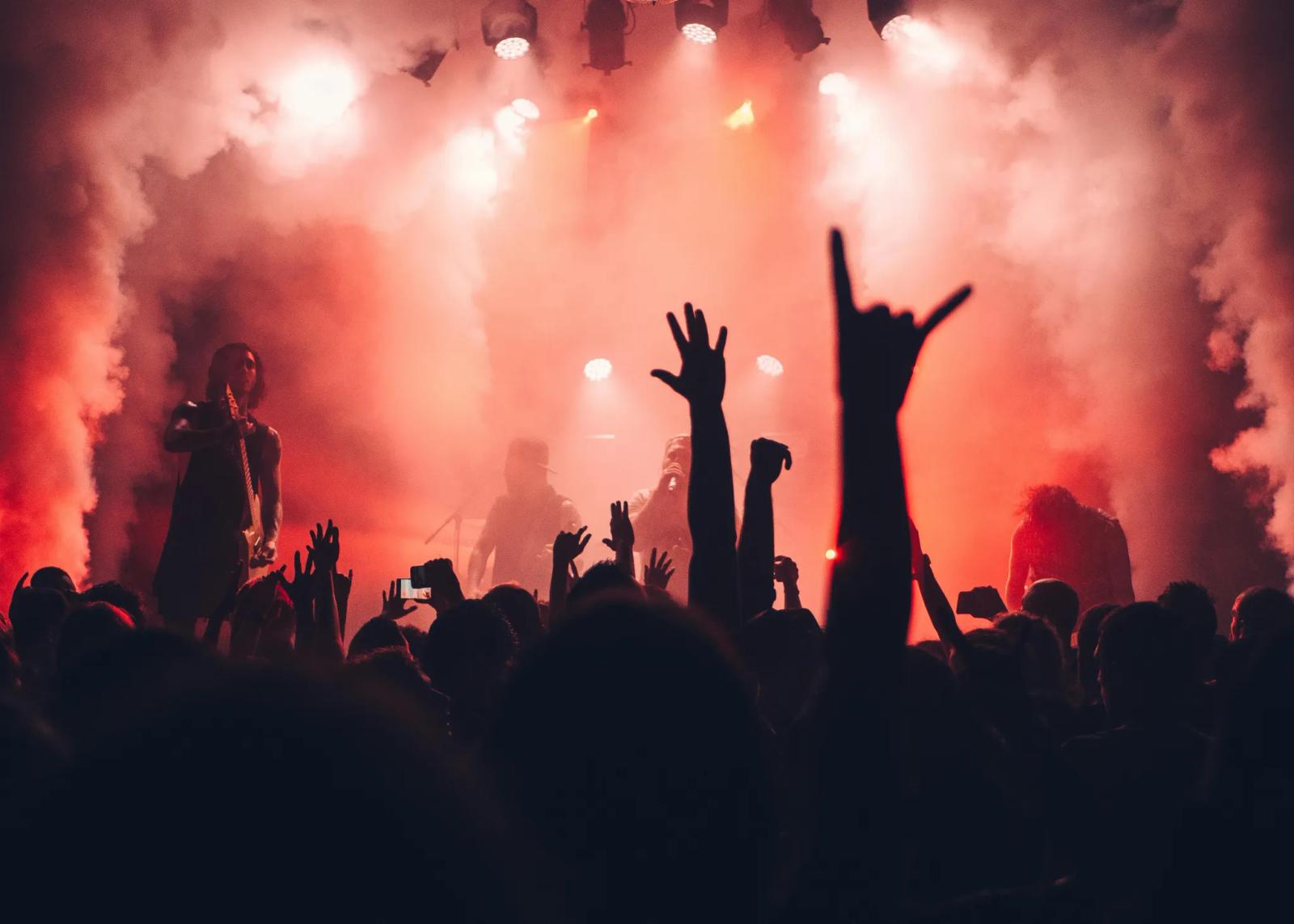 audience in a concert