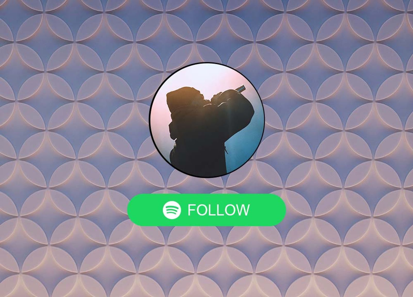 Spotify follow button for website