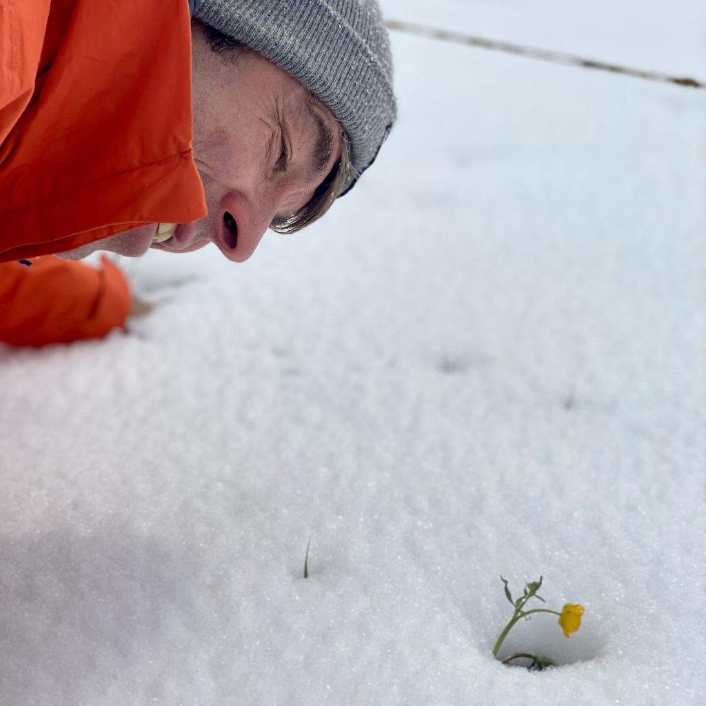Kontakt Blüte Blatt & Co.
