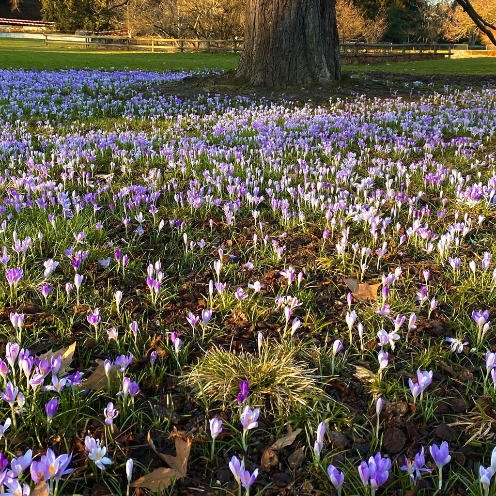 schattig aber trocken