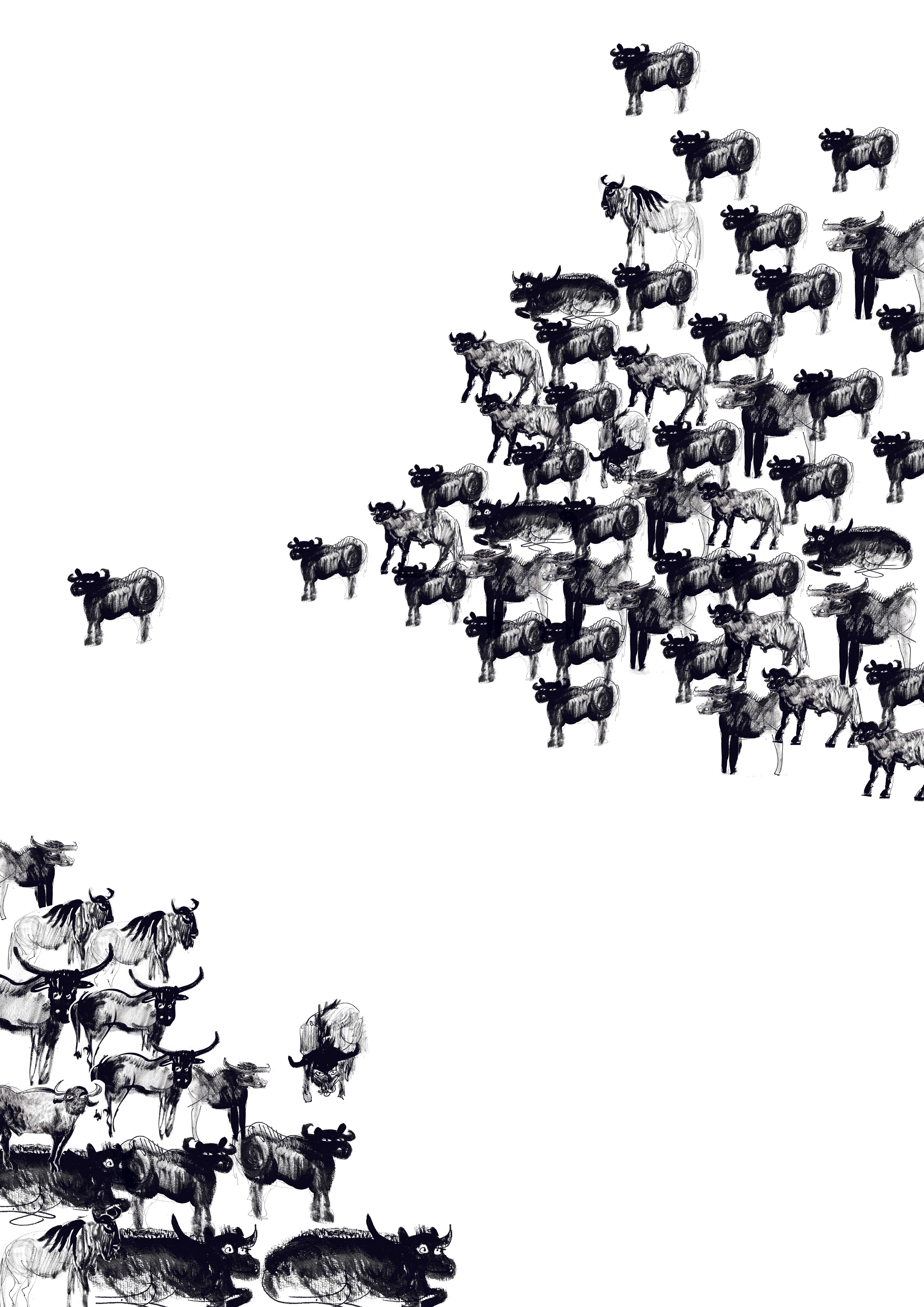 "Neither yes nor no"