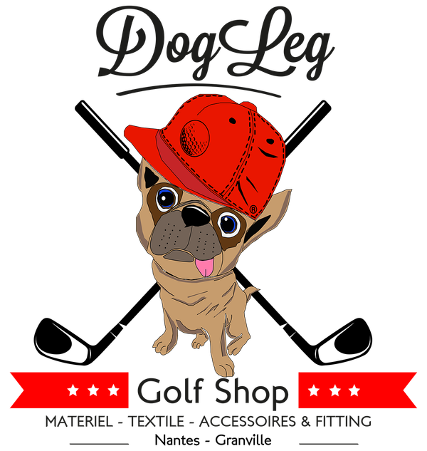 PROCHAINES DEMOS AVEC DOGLEG