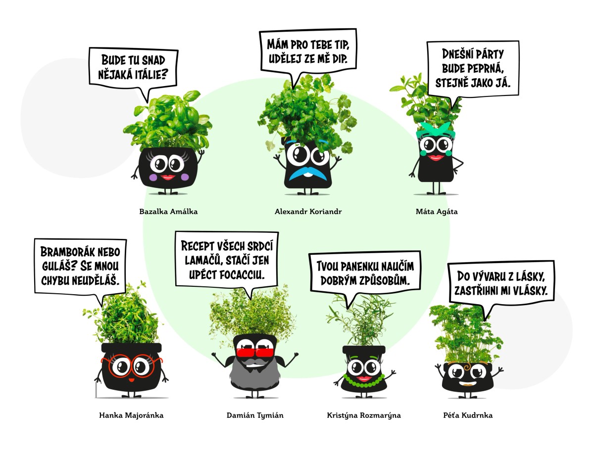 BYL_case study_maskoti