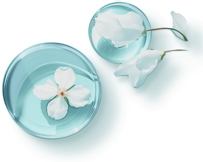Cosmonde