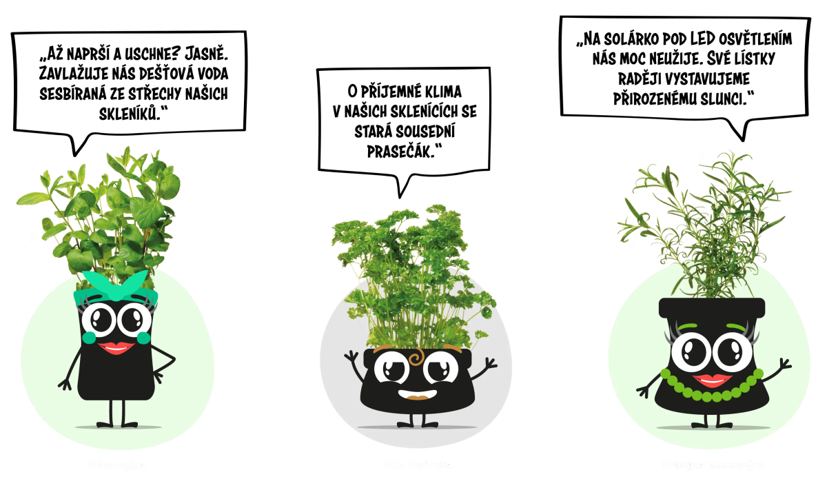 postavičky_Bylinkovi