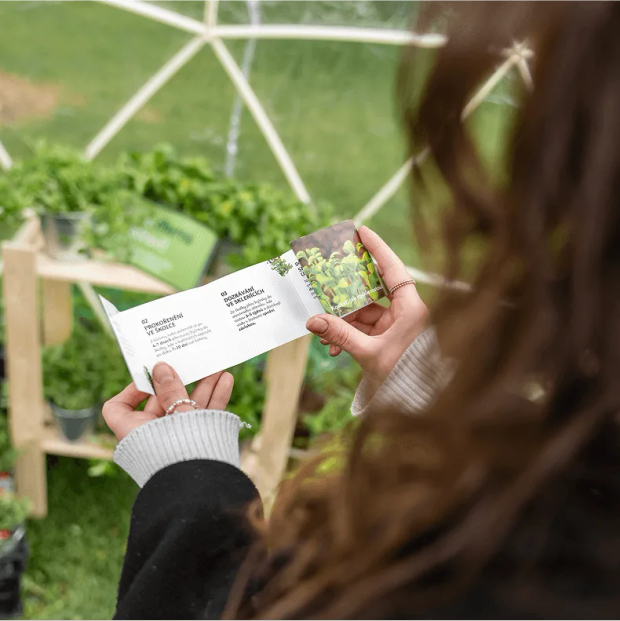 fotografie ženy, která si prohlíží otevřený leták