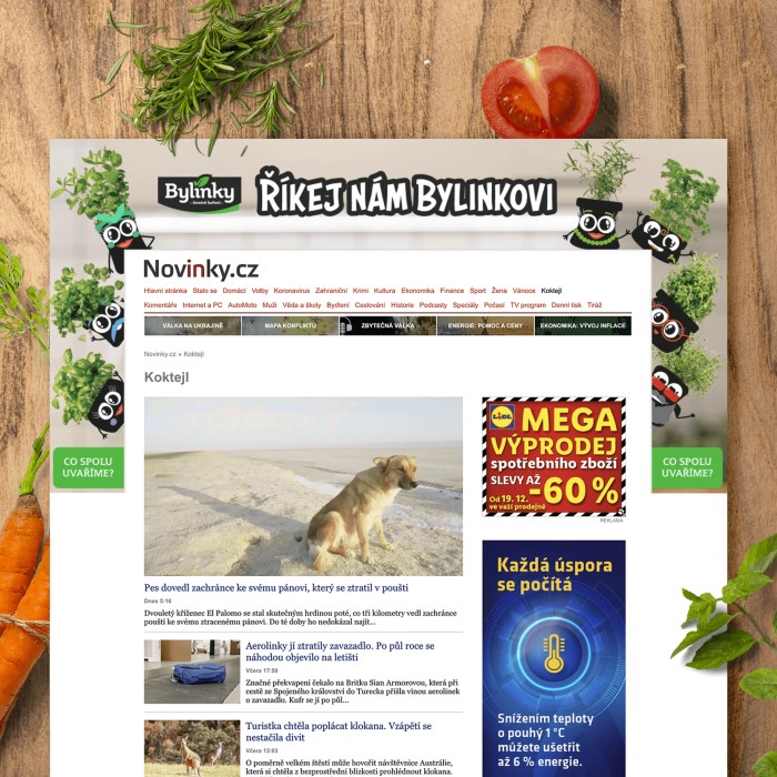 Bylinkovi baner 1