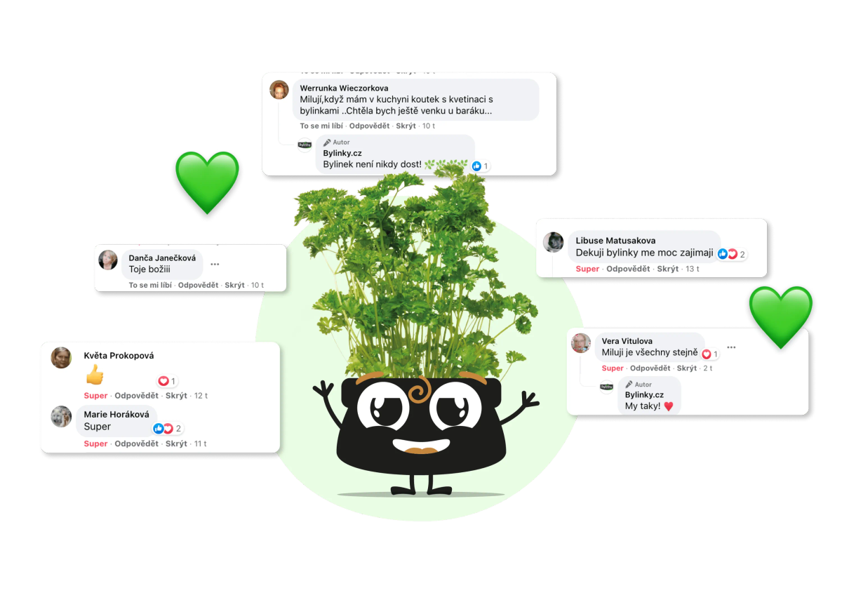Bylinky chat