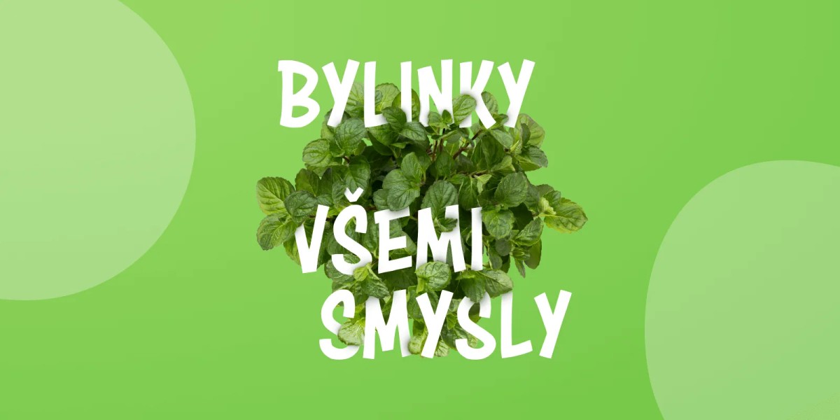 vizuál Bylinky všemi smysly