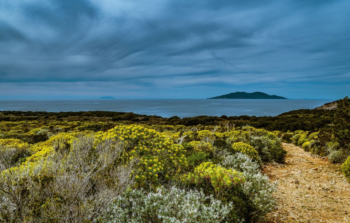 Giglio and Montecristo from Giannutri Isle