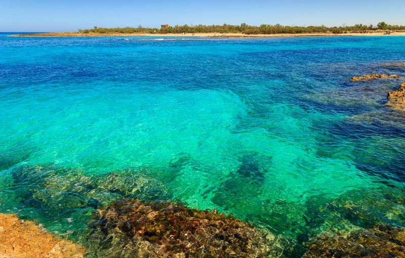 Torre Guaceto Nature Reserve (Apulia)-ITALY-