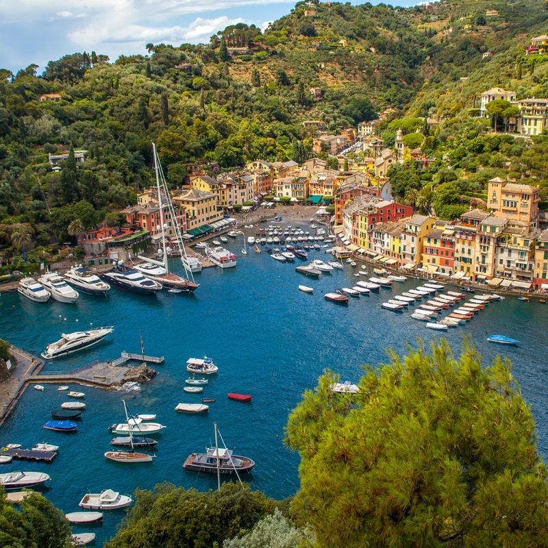 Portofino Harbour