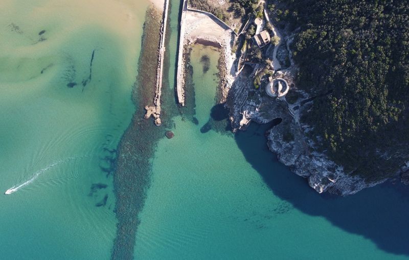 Forest and Sea Shore, Anzio