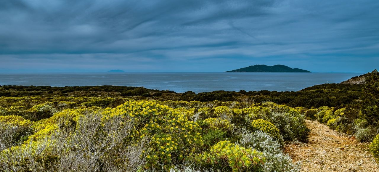 Giglio and Montecristo from Giannutri Isle