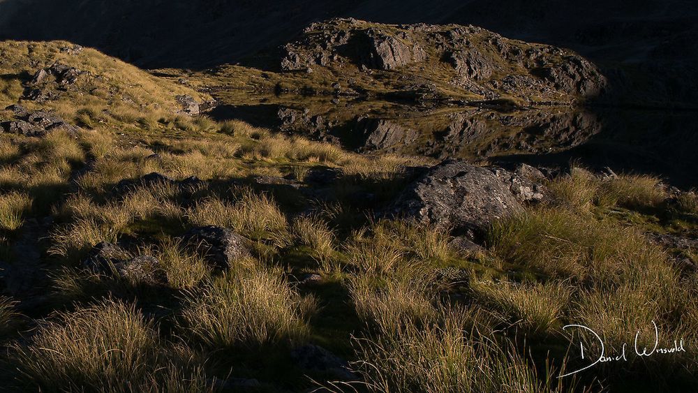 The pond, Nelson Lakes National Park, New Zealand