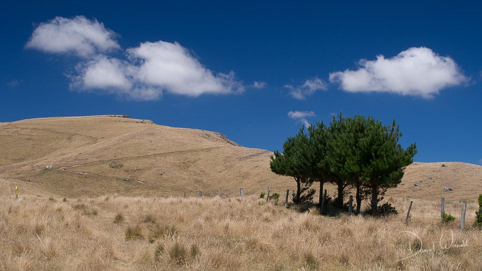 New Zealand