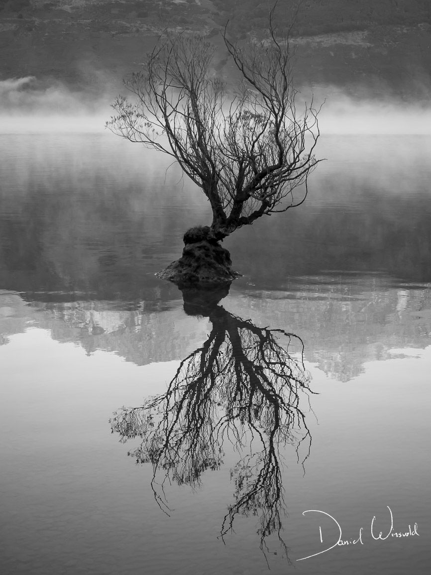 New Zealand