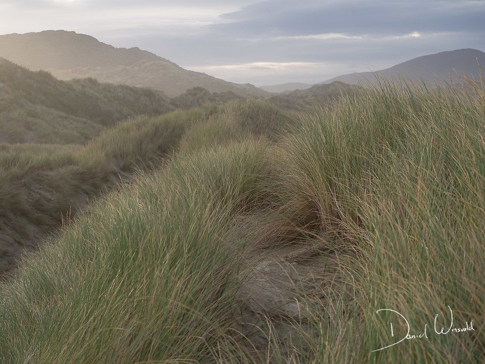 Dunelands of Stewart Island, Stewart Island, New Zealand