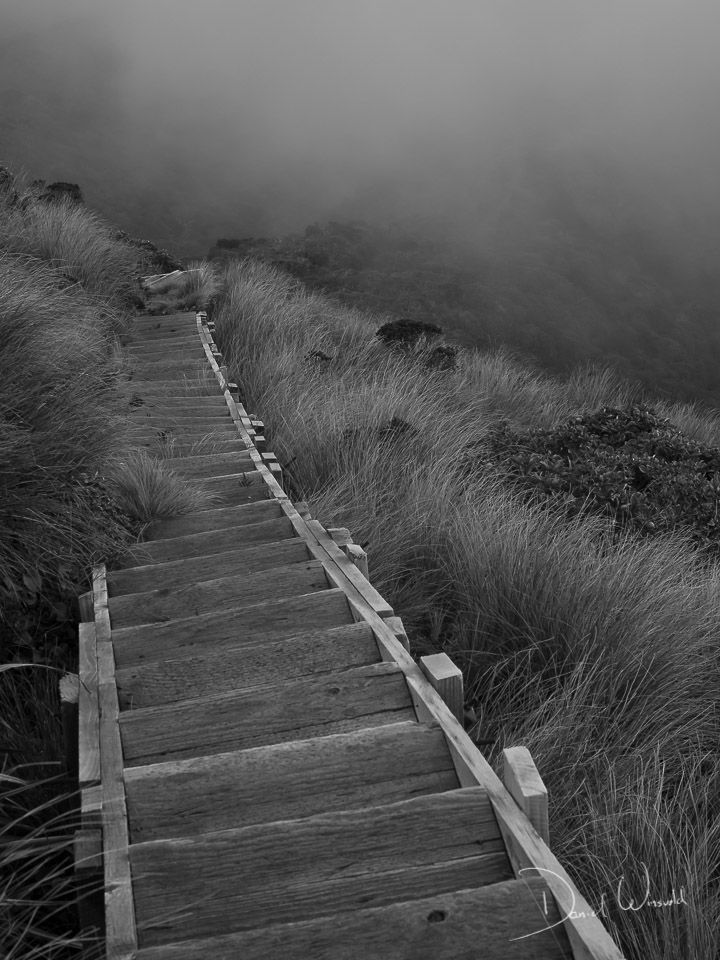 Stairway to nowhere, Mt Taranaki, New Zealand
