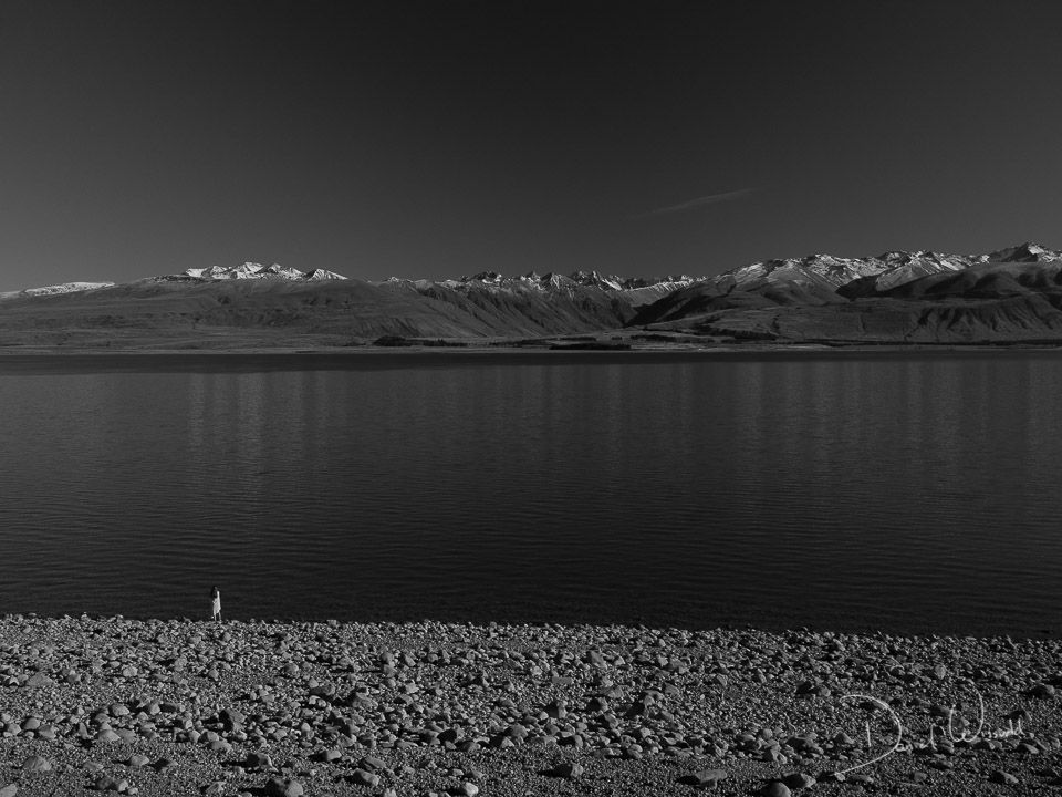 Piken, Lake Tekapo, New Zealand