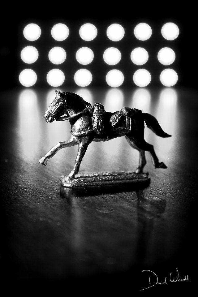 Winner Horse