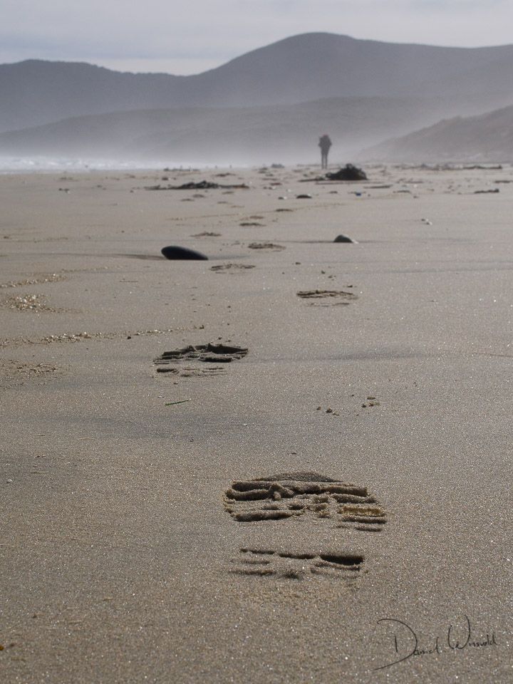 Into the wild, Stewart Island, New Zealand