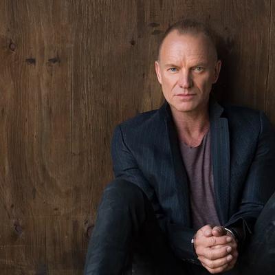 Portrait de Sting assis contre un mur de bois sombre, mains jointes