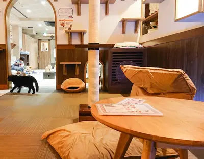 出典：http://catcafe.jp/