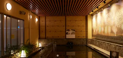 出典：https://thermae-yu.jp/spa-sauna/