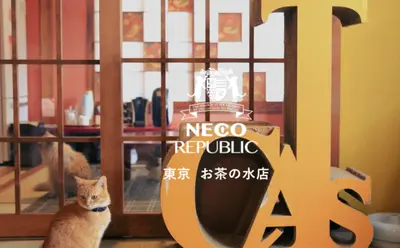 出典：https://www.neco-republic.jp/shop/shop-necorepublic-ochanomizu/