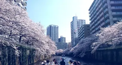 出典：https://www.tokyowaterways.com/