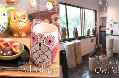 https://www.owlvillage.jp/harajuku.html