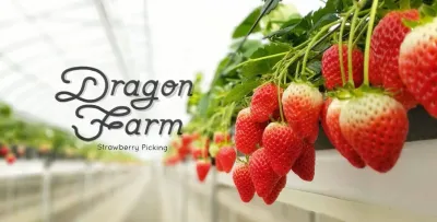 出典：https://dragonfarm-chiba.com/