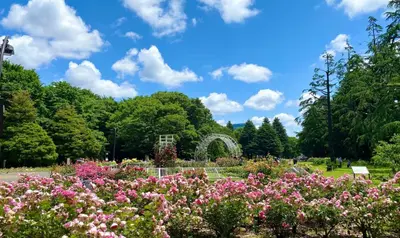 出典：https://www.tokyo-park.or.jp/park/yoyogi/index.html