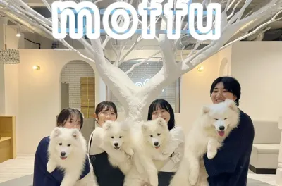 https://samoyedmoffu.com/shop_harajyuku