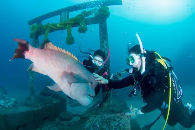 出典：https://ocean-tateyama.com/