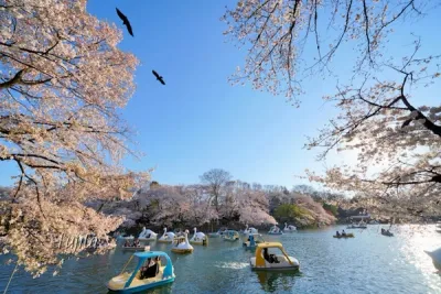 出典：https://www.travel.co.jp/guide/article/42586/