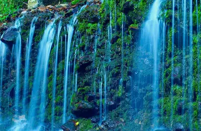 出典：https://www.hakone-hougetu.com/sightseeing/details/1281/