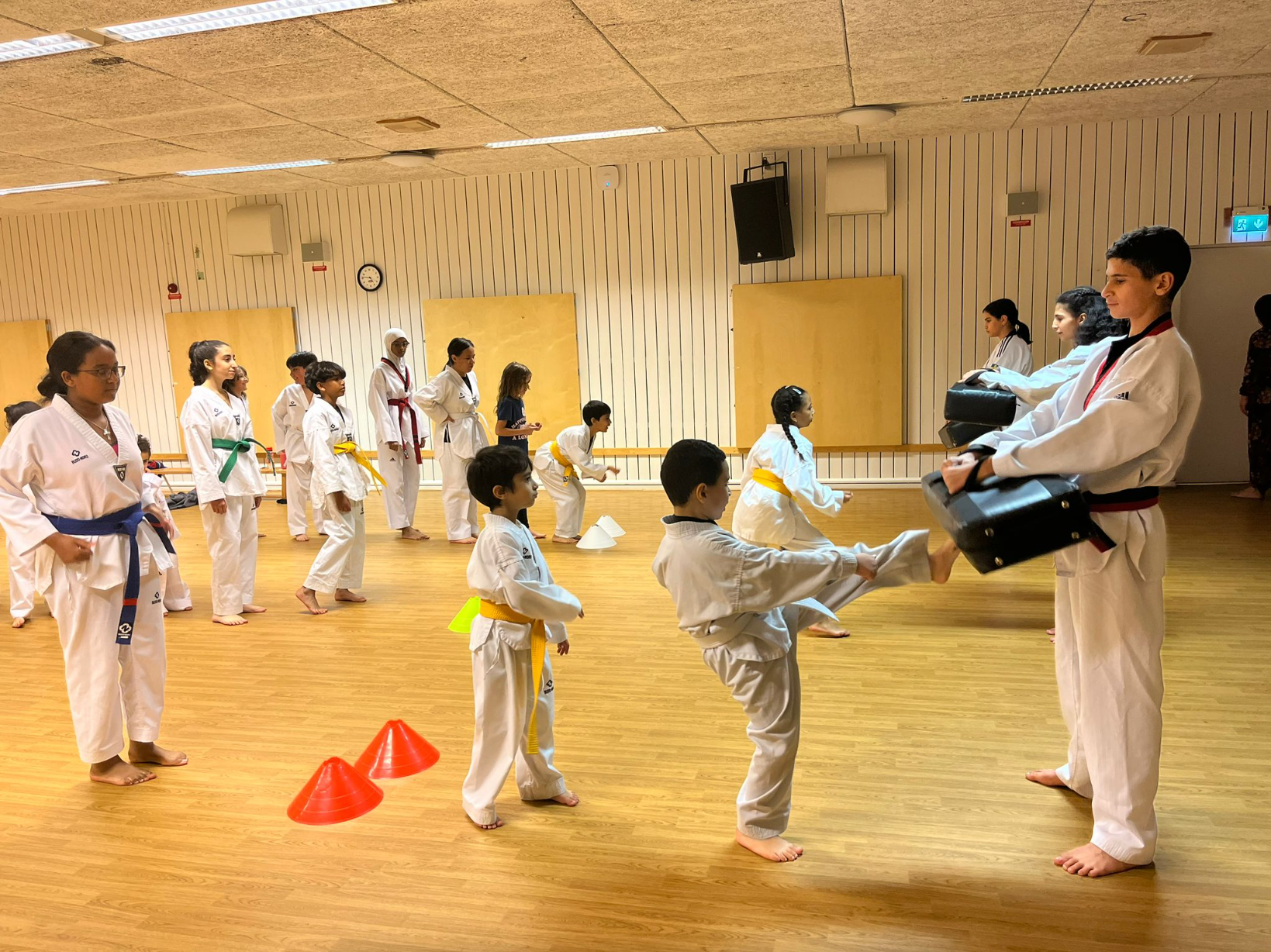 a group of kids are practicing martial arts in a gym