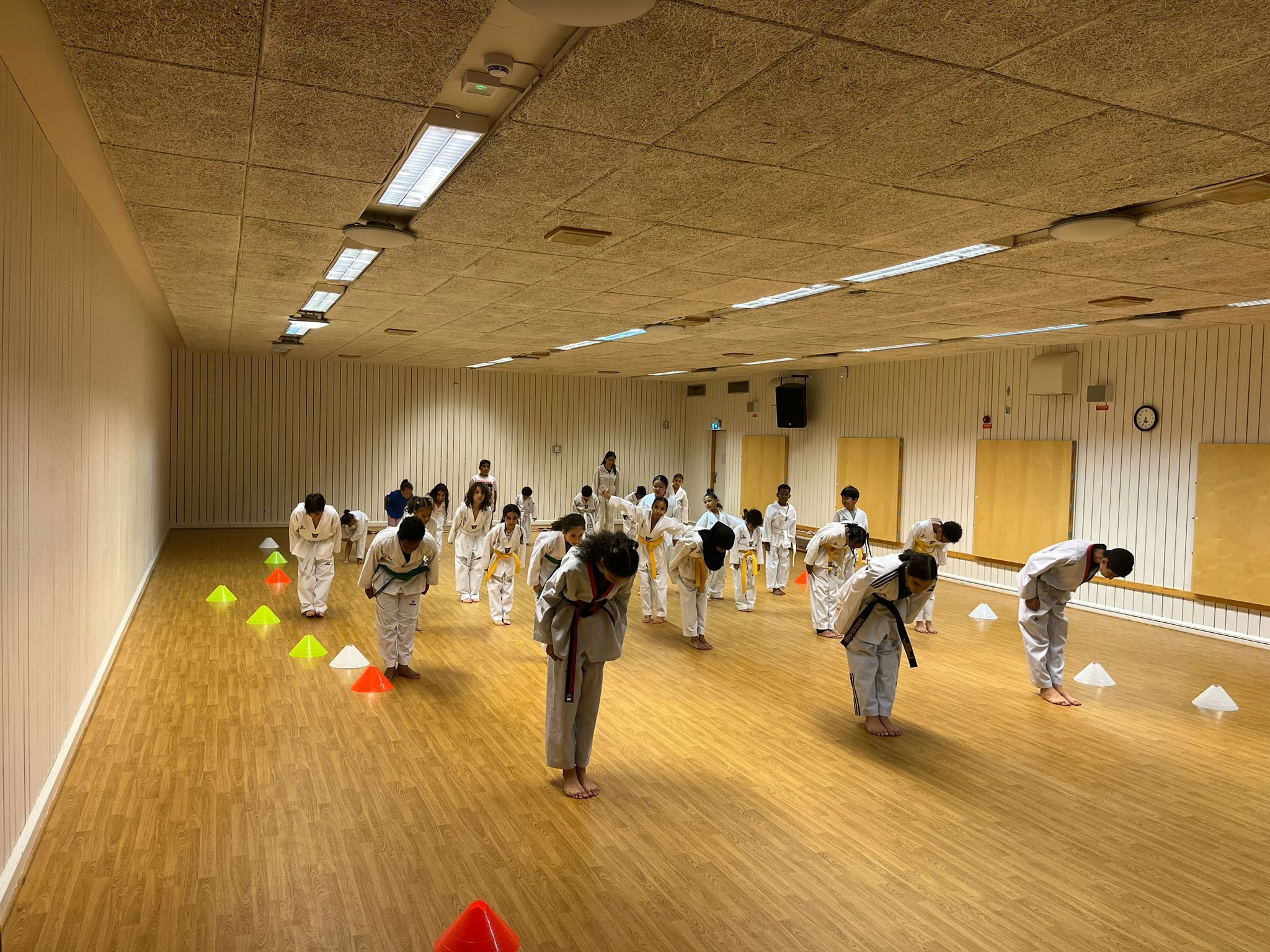 a group of children are practicing martial arts in a gym .