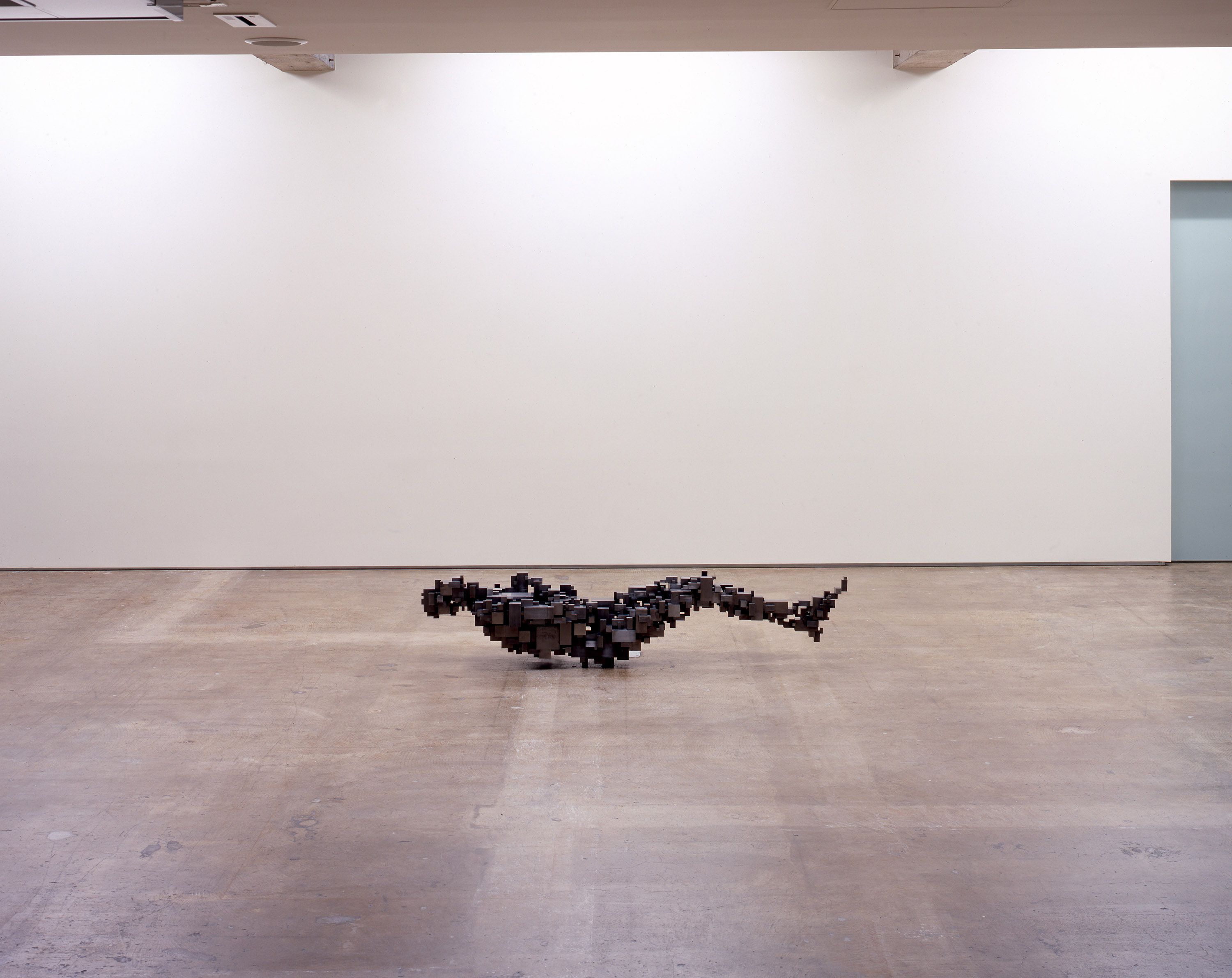 洋書　Antony Gormley Antony Gormley - Rizzoli New York