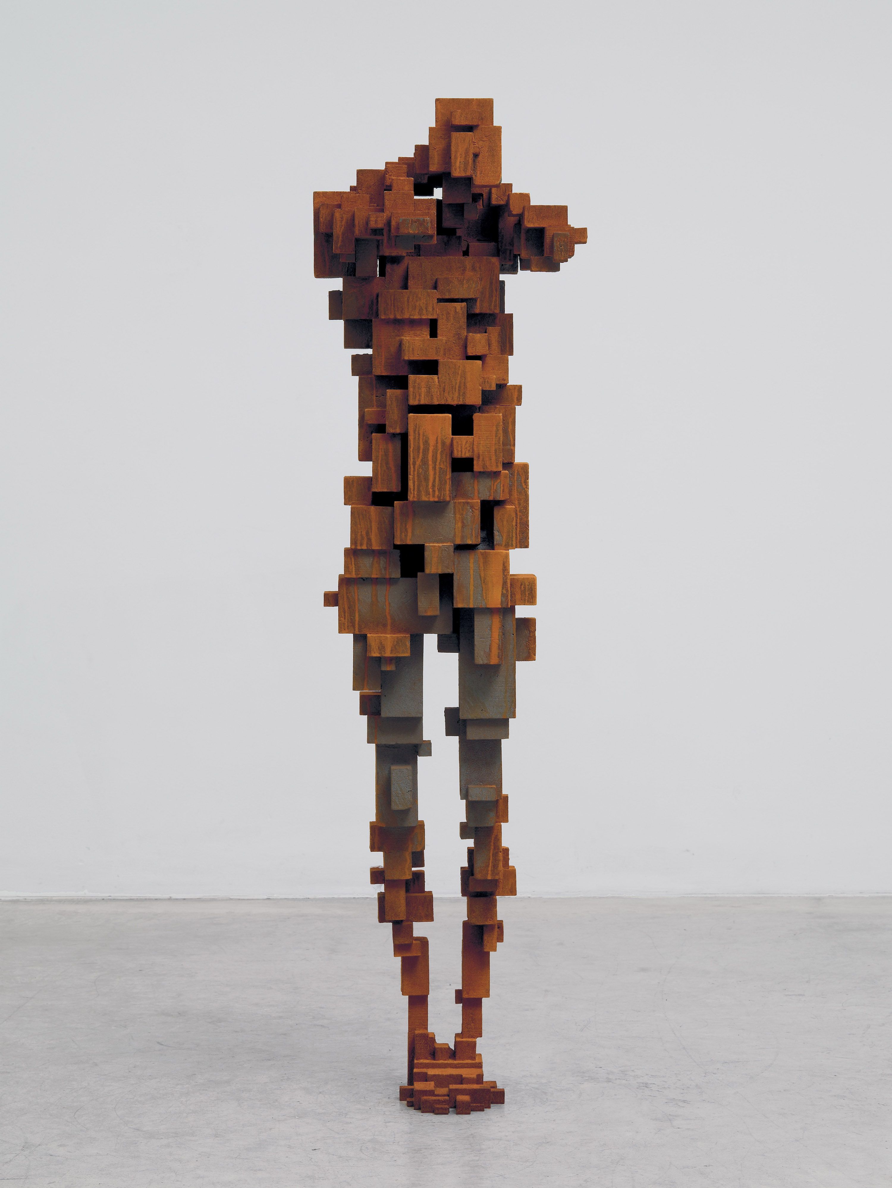アート・デザイン・音楽 Antony Gormley アート・デザイン・音楽 Antony Gormley Antony Gormley 'Ground