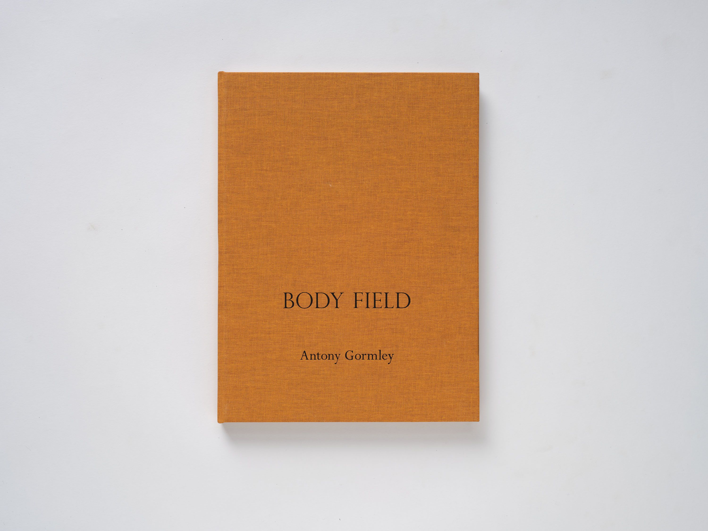 額装品/More Beginnings/トム ゴームリー/Tom Gormley 額装品/More Beginnings/トム ゴームリー/Tom Gormley