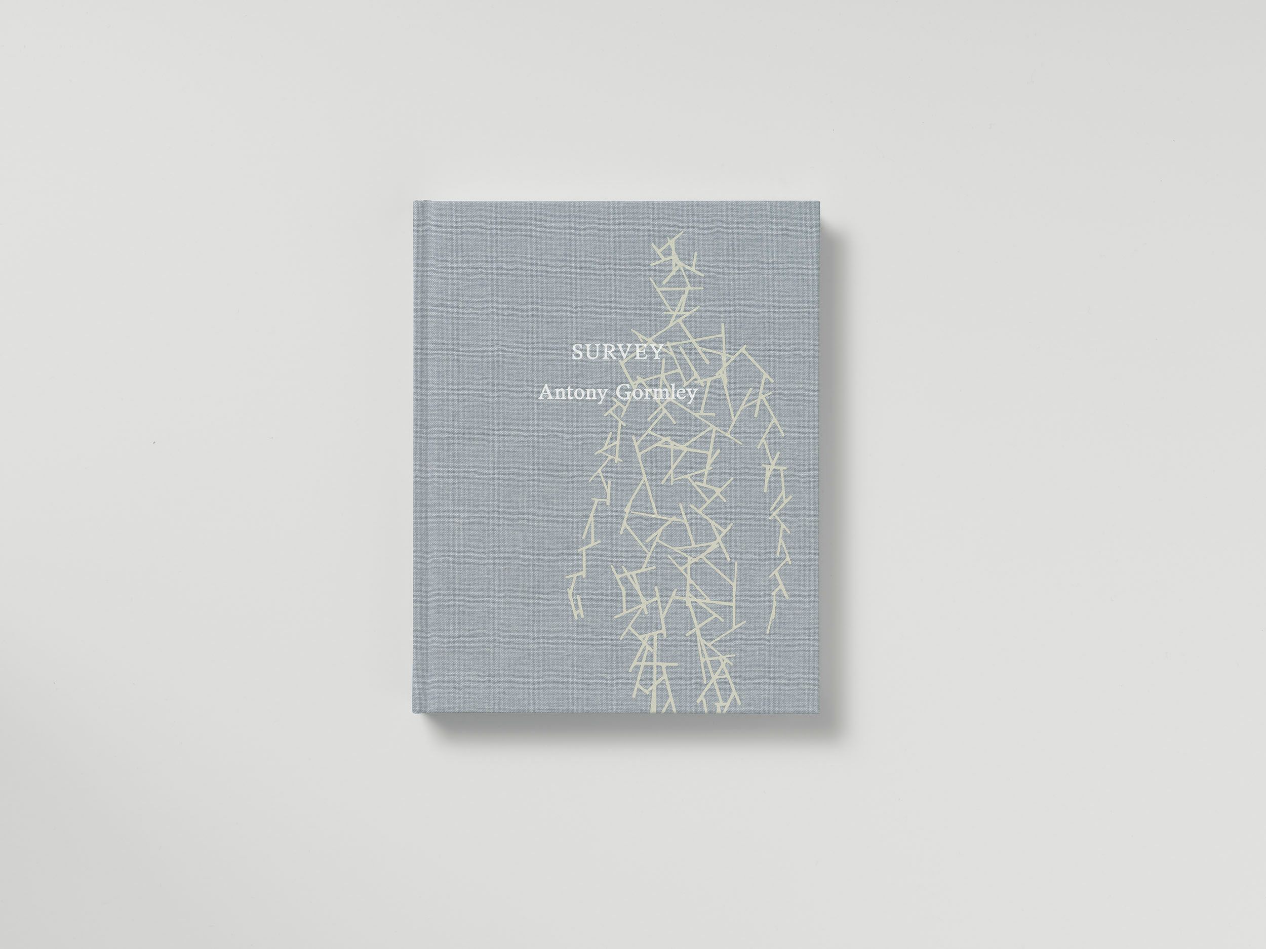 Survey, published by Nasher Sculpture Center – News – Antony Gormley