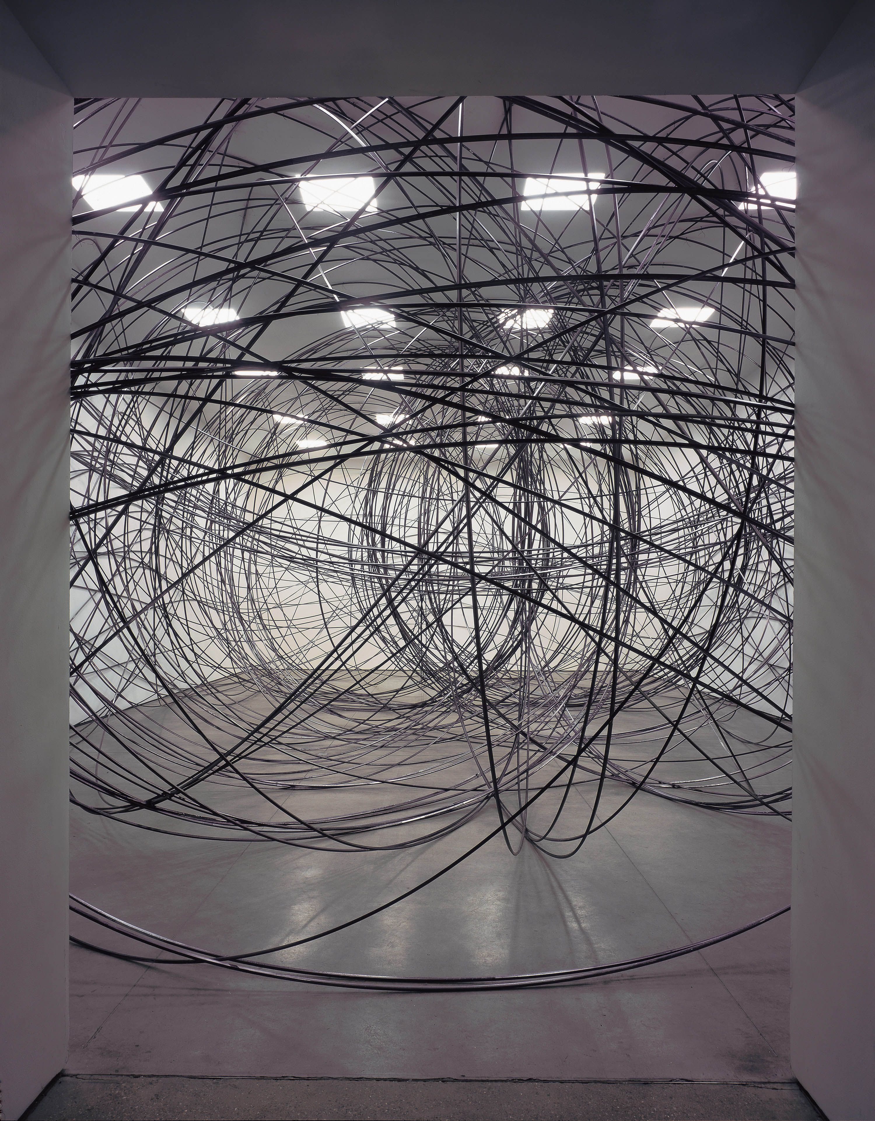 洋書　Antony Gormley Antony Gormley: Caiger-Smith, Martin: 9780847871612: Amazon