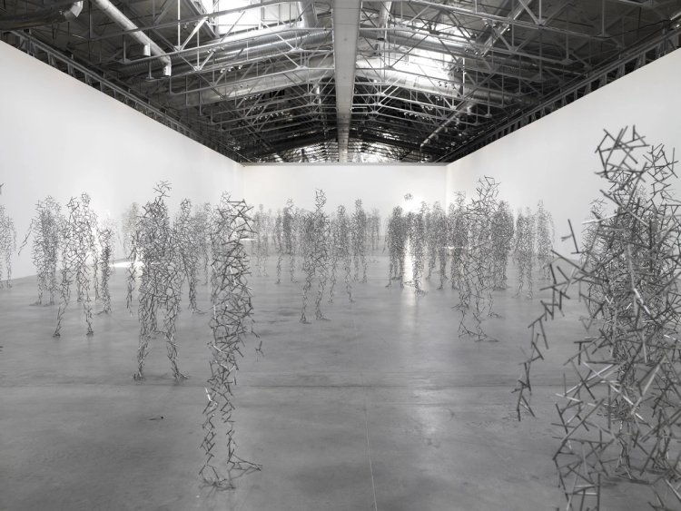 Domain Field – Exhibitions – Antony Gormley